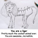 1104858739_eonDLiger0.jpg