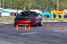 IMG_1219-vi.jpg