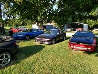 20170804_182135_resized The Herd.jpg