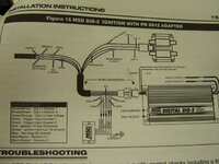 msd 013.jpg