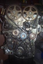 Talon 010.JPG