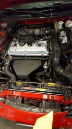 20171007_050223.jpg