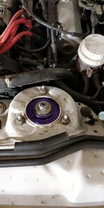 IMG_20180131_175556.jpg