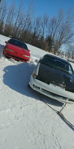 IMG_1521281126735.jpg