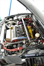 DSC_4464_resized.jpg