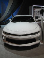 IMG_8883.JPG