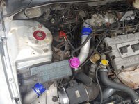 20190218_160726_HDR.jpg