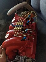 IMG_20200420_024306.jpg