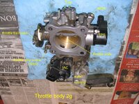 Throttle body - intake side.JPG