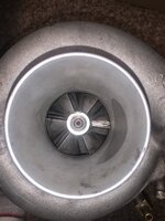 04529522-E6B5-41F2-BE79-D866A1977A86.jpeg