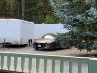 IMG_2459.jpg