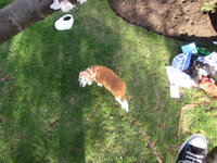 Picture 070.jpg