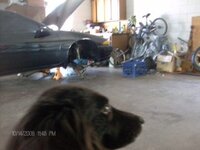 014-1.jpg