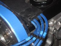 plug_wires_1.JPG