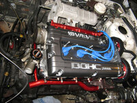IMG_0259_small.jpg