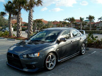 Chris-Wirth-EvoX-Florida-Palm-Tree.jpg