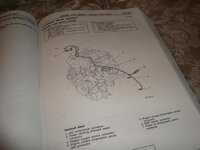 DSC04167.jpg