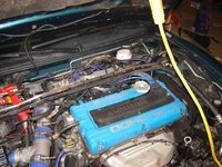 resized_DSC04471.jpg