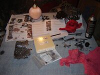 resized_DSC04508.jpg