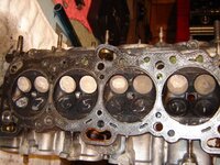 resized_DSC04625.jpg