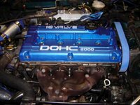 DSC04726-500.jpg