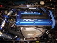 DSC04729-500.jpg