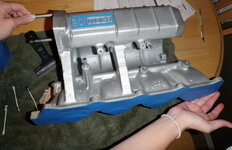 P3200001.jpg