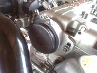 0316100002 Cas Painted.jpg