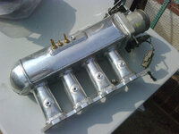 IMG00052-20100612-1626.jpg