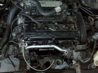 IMG00531-20100801-1659.jpg