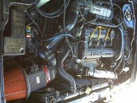 IMG00720-20100906-1649.jpg