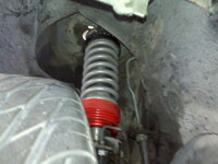 IMG00697-20100902-1622.jpg