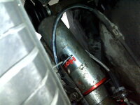 IMG00696-20100902-1622.jpg