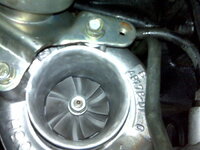 IMG00683-20100831-1822.jpg
