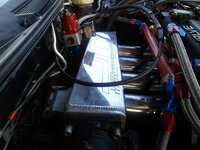 2010-10-04 18.10.51.jpg