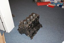 DSC07447.jpg