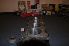 DSC07448.jpg