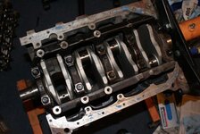 DSC07451.jpg