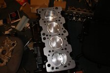 DSC07455.jpg