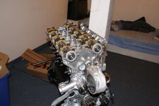 DSC07462.jpg