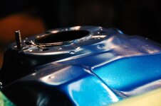 bluetalon8.jpg