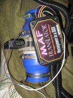 IMG_1916.jpg