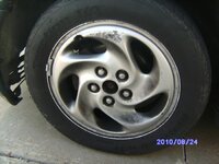 PICT2808.jpg