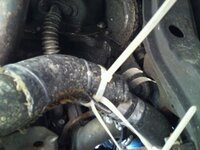 Radiator Hose.jpg