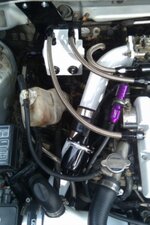 IMAG0185-1.jpg