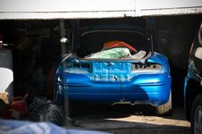 mustang_talon_1 copy.jpg