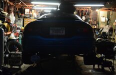 backlit.jpg