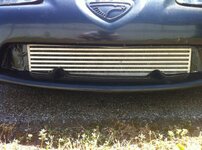bumper 2.jpg