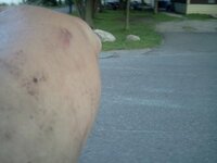 downsized_0804112015.jpg