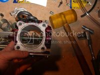 CIMG0289-1.jpg